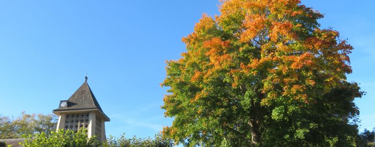 La Seine en octobre