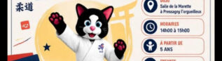 Judo mercredi 14h-15h